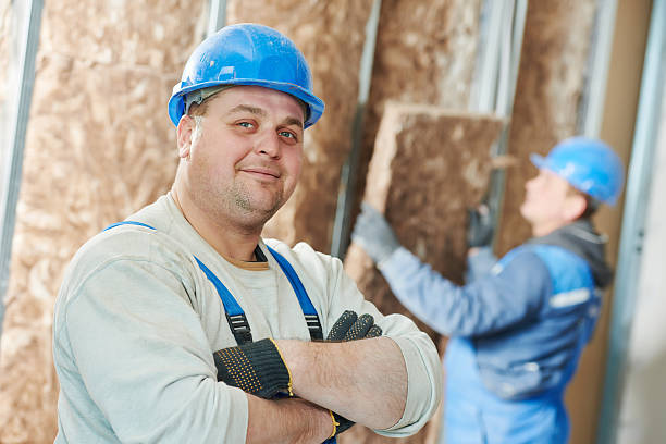 Best Insulation Maintenance and Repair in Delta, CO