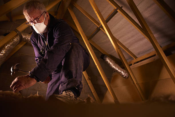 Best Residential Insulation in Delta, CO